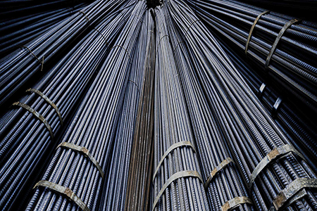 Oil Plant Project